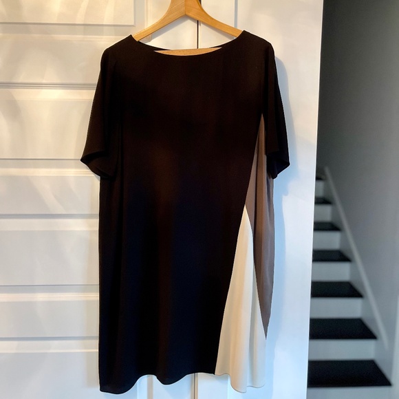 Eileen Fisher 100% Silk Georgette Color-Block Shift Pullover Dress ~ Size L/G - Picture 5 of 7